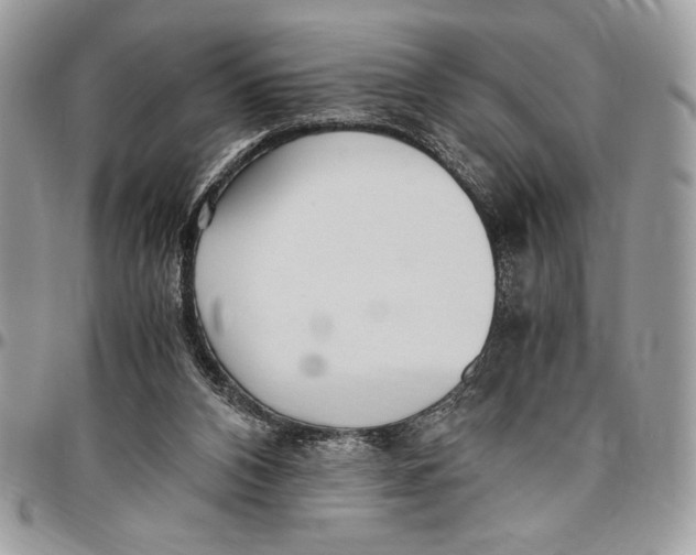 X0000096420112200802141644