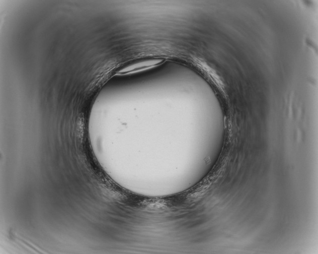 X0000096420113200802141644