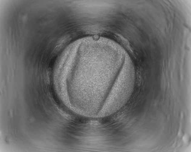 X0000096420114200802141643