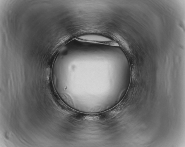 X0000096420115200802141643