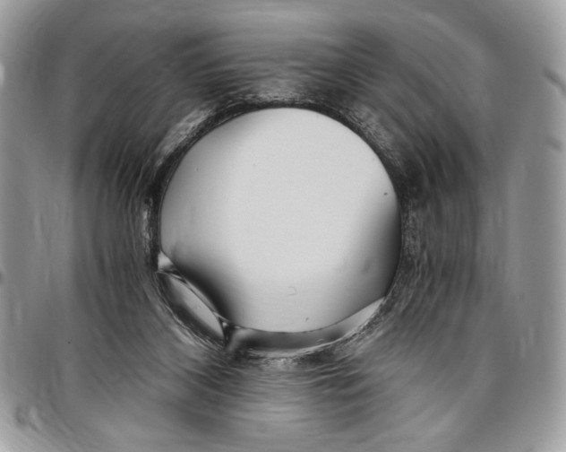 X0000096420116200802141643