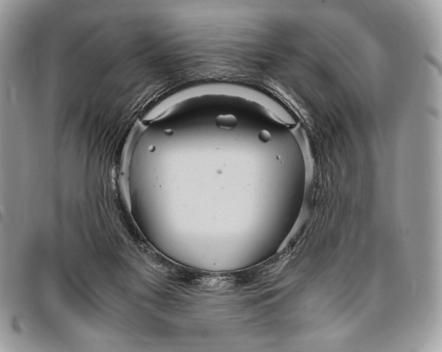 X0000096420117200802141643