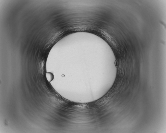 X0000096420118200802141643