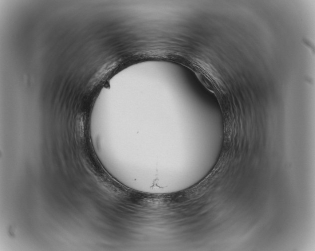 X0000096420120200802141643