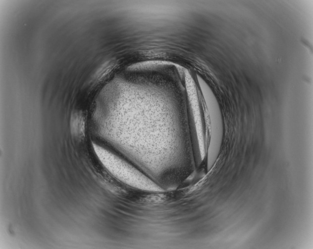 X0000096420124200802141643