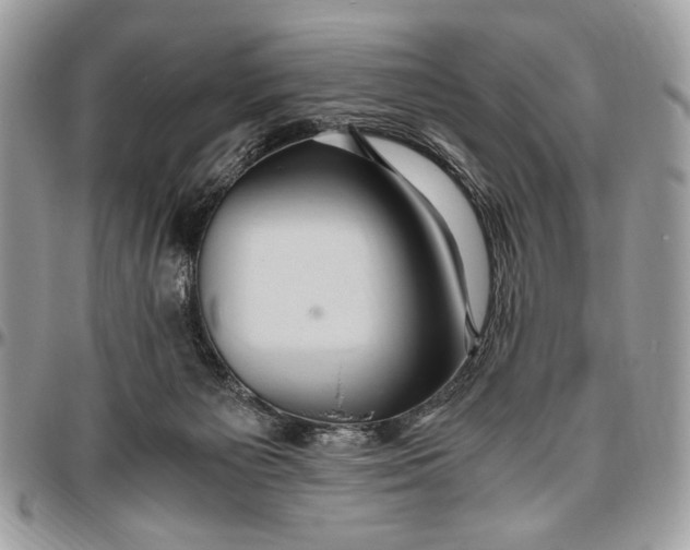 X0000096420125200802141643