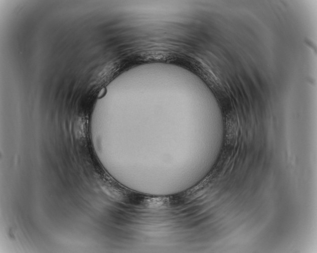 X0000096420126200802141643