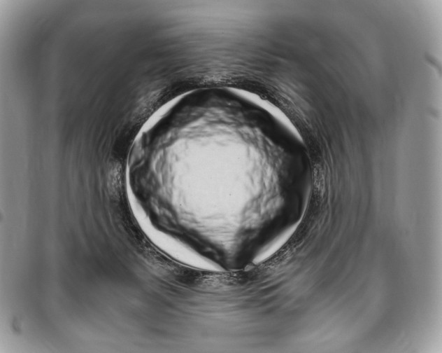 X0000096420127200802141643