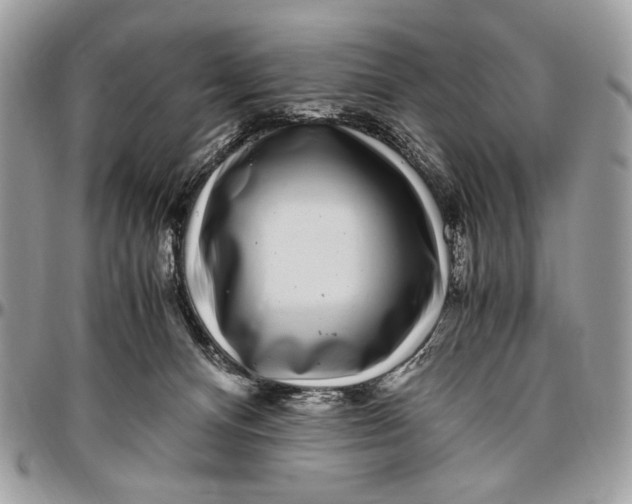 X0000096420128200802141643