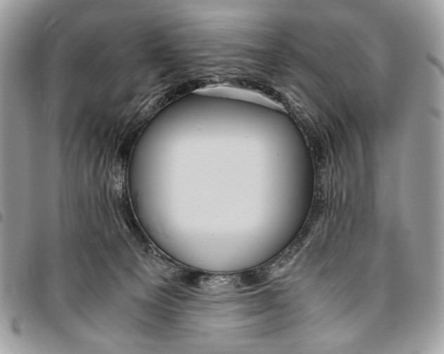 X0000096420129200802141643