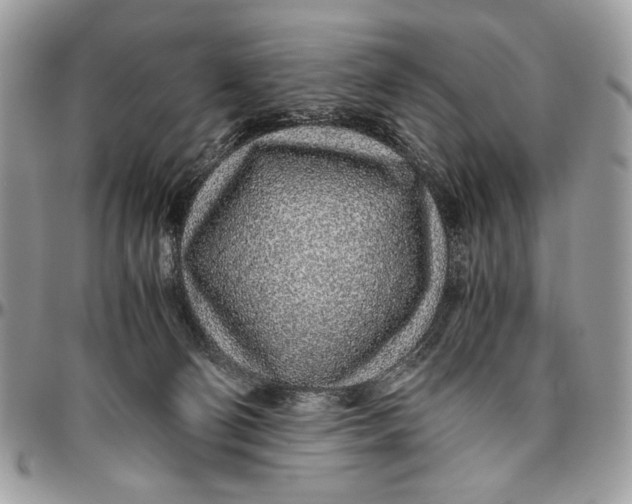 X0000096420130200802141643