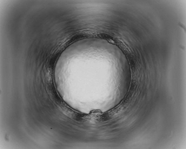 X0000096420131200802141643