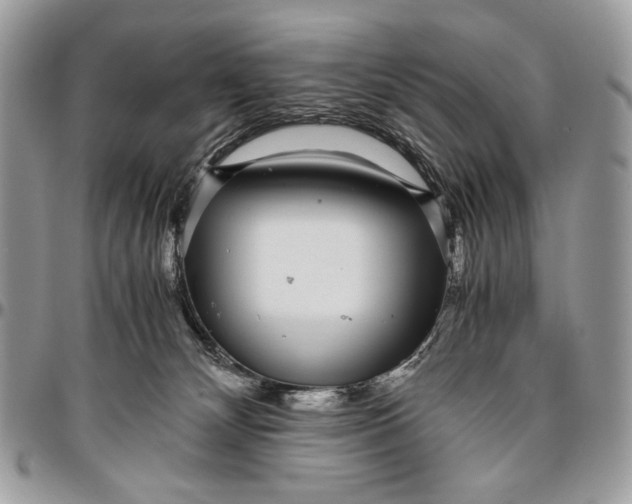 X0000096420132200802141643