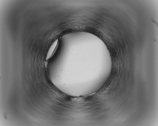 X0000096420133200802141643