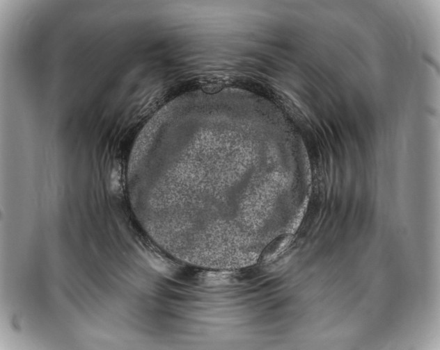 X0000096420134200802141643