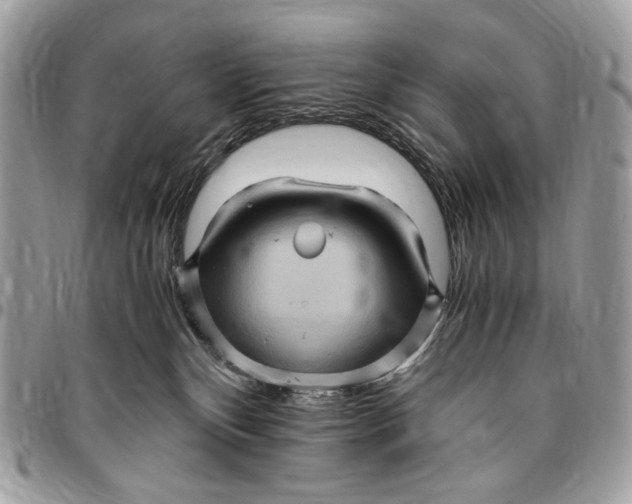 X0000096420136200802141643