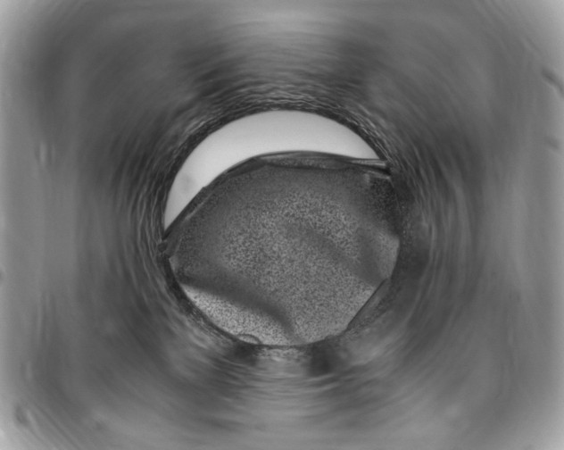 X0000096420137200802141643