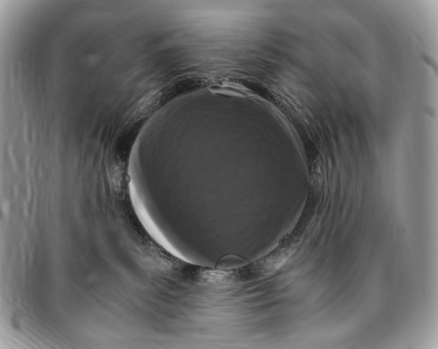 X0000096420139200802141643