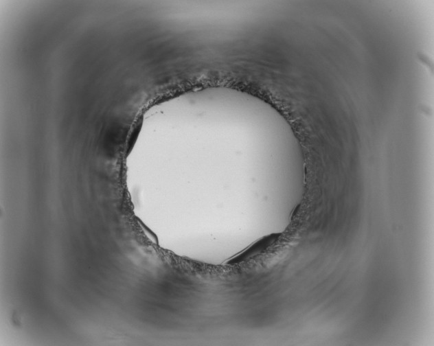 X0000096420144200802141643