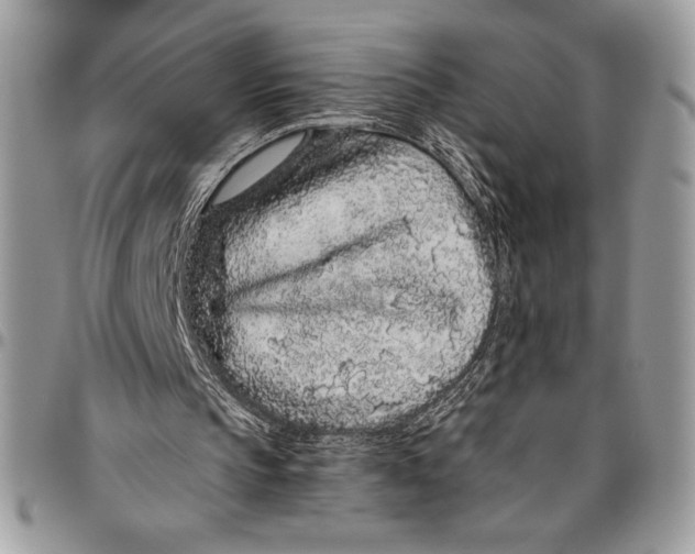 X0000096420145200802141642