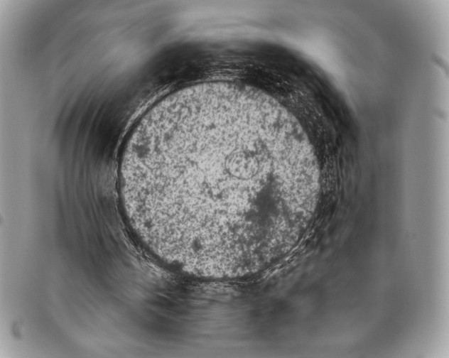 X0000096420146200802141642