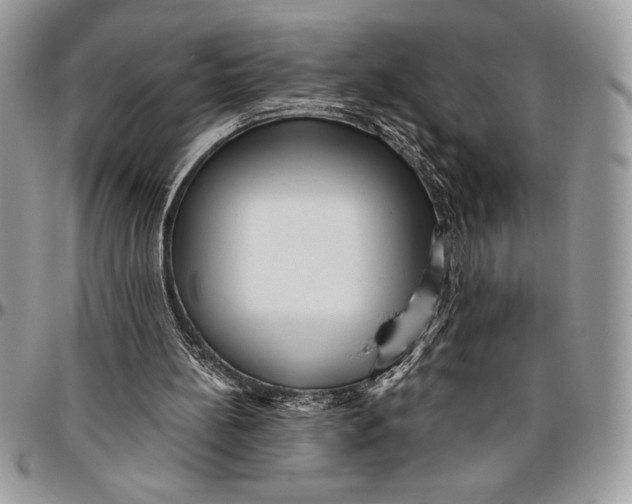 X0000096420148200802141642