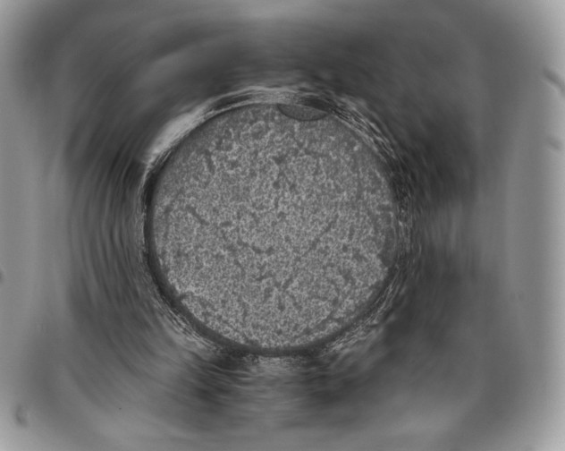 X0000096420149200802141642