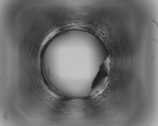 X0000096420150200802141642