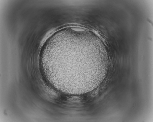 X0000096420151200802141642