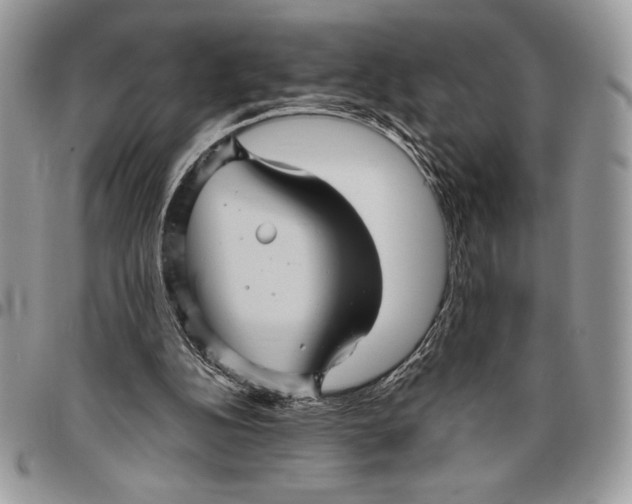 X0000096420152200802141642