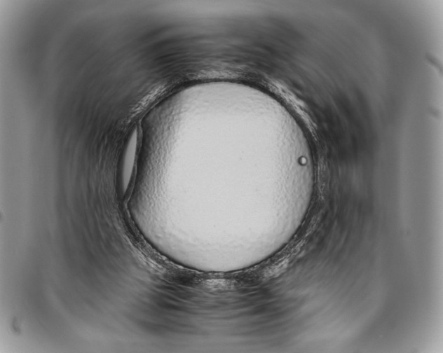 X0000096420153200802141642