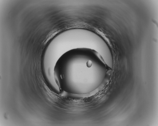 X0000096420154200802141642