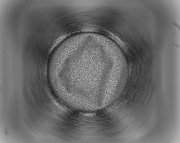 X0000096420155200802141642