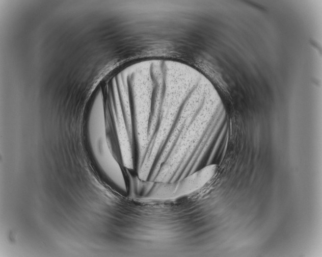 X0000096420156200802141642