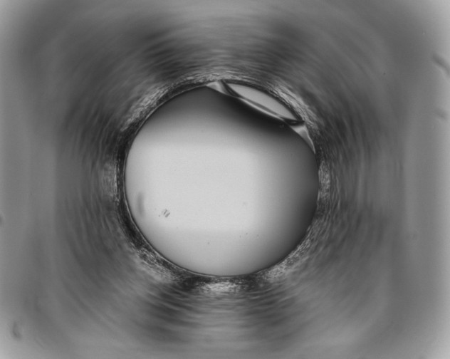 X0000096420158200802141642