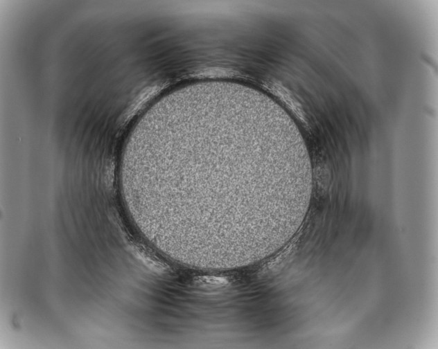 X0000096420159200802141642