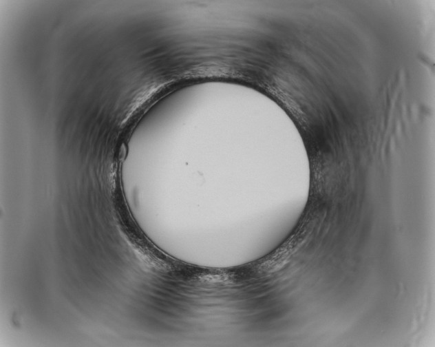 X0000096420160200802141642