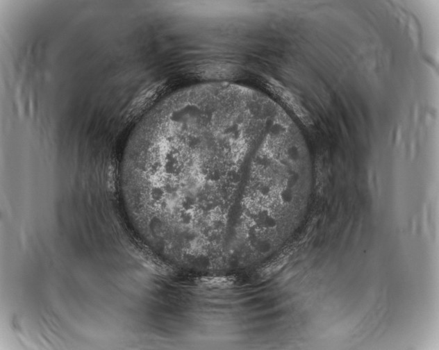 X0000096420161200802141642