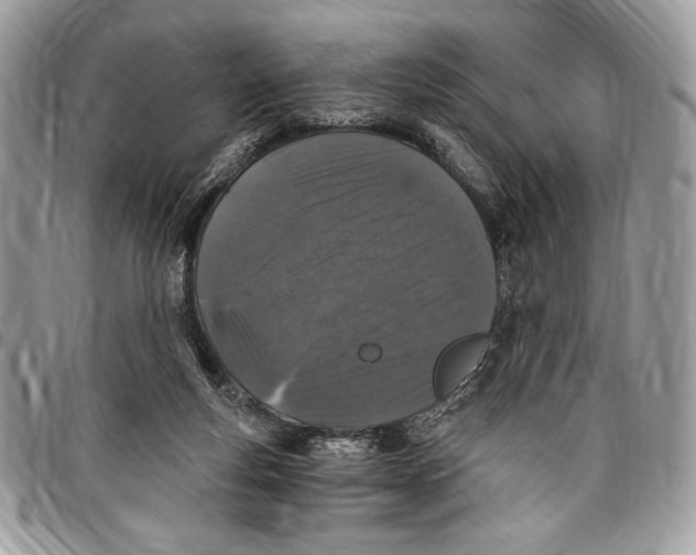 X0000096420163200802141642