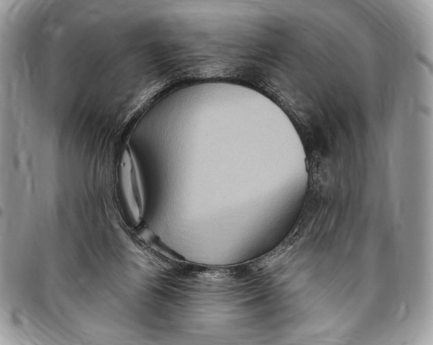 X0000096420164200802141643