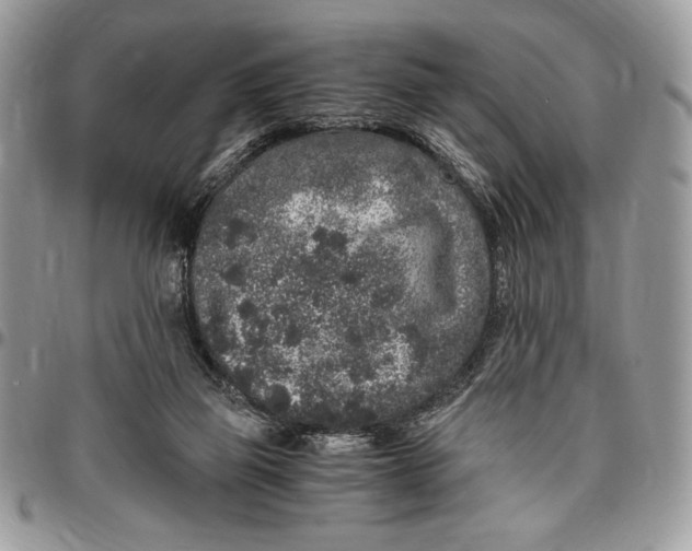 X0000096420165200802141643