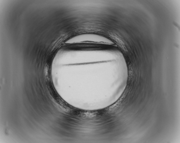 X0000096420166200802141643