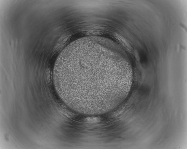 X0000096420169200802141643