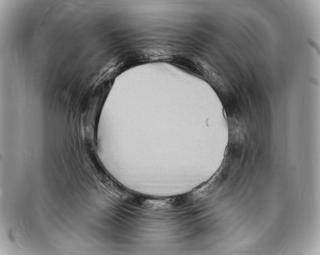 X0000096420170200802141643