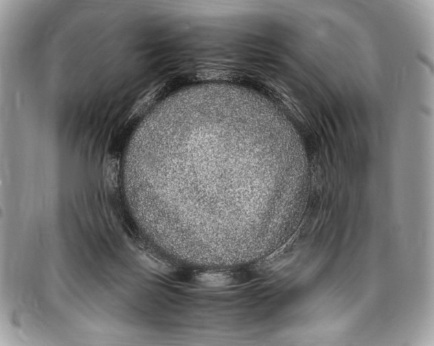 X0000096420171200802141643