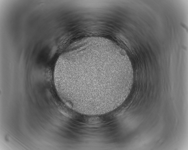 X0000096420173200802141643