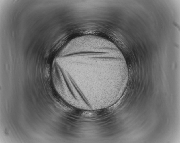 X0000096420174200802141643