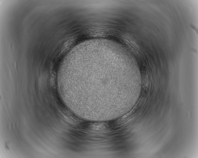 X0000096420175200802141643