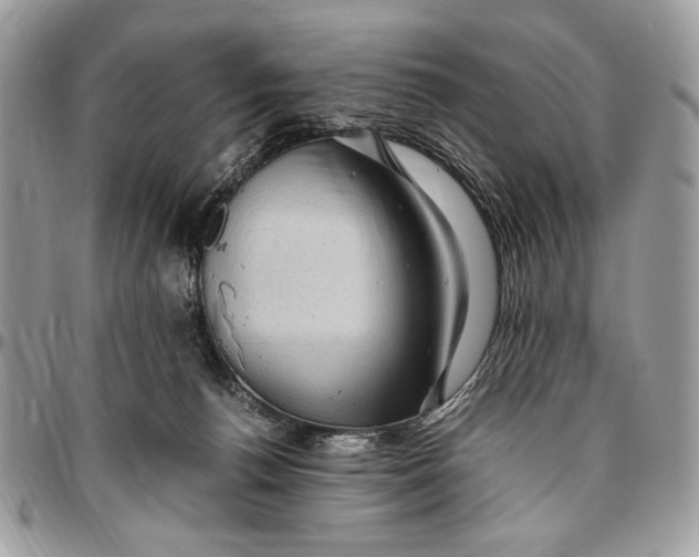 X0000096420176200802141643