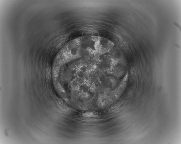 X0000096420177200802141643